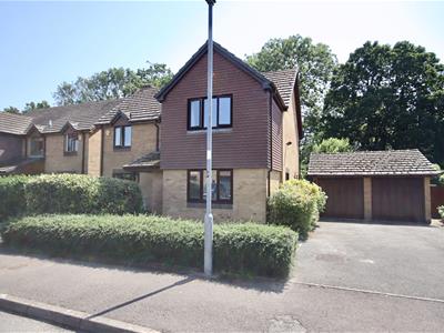 Picture 18